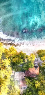 Aerial view of tropical beach with turquoise waters and lush palm trees.