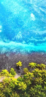 Aerial view of tropical beach with clear ocean waves and lush palm trees.