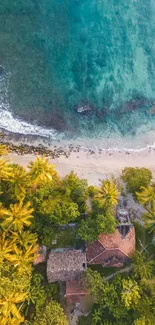 Aerial view of a tropical beach with palm trees and clear waters.