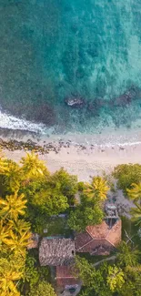 Aerial view of a tropical beach with turquoise waters and lush palm trees.