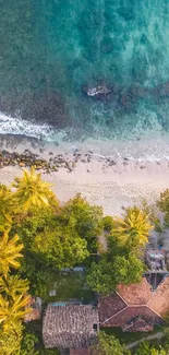 Aerial view of tropical beach with ocean and palm trees.