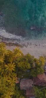 Aerial view of a tropical beach with palm trees and clear ocean waves.