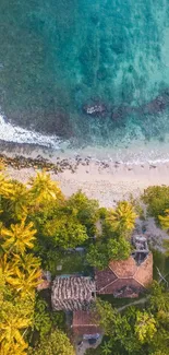 Aerial view of a tropical beach with turquoise water and lush palm trees.