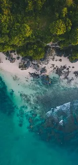 Aerial view of a tranquil tropical beach with lush greenery and turquoise waters.