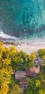 Aerial view of a tropical beach with palm trees and turquoise waters.