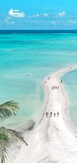 Aerial view of a tropical beach with turquoise waters and palm trees.