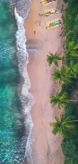 A stunning aerial view of a tropical beach with turquoise waters and palm trees.