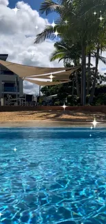 Tropical beach with pool and palm trees under a sunny sky.