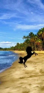 Silhouette of a horse on a tropical beach with blue sky and palm trees.