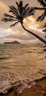 Tranquil tropical beach at sunset with palm trees and ocean waves.