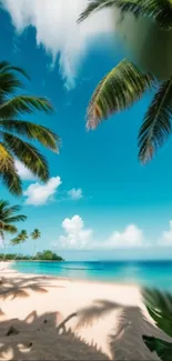 Tropical beach with palm trees and clear blue sea under sunny skies.