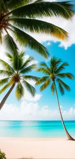 Tropical beach wallpaper with palms and blue ocean.