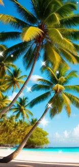 Tropical beach scene with palm trees, blue sky, and turquoise water.