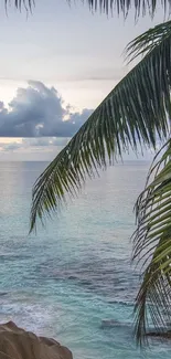 Tropical beach scene with palm trees and ocean at sunset.