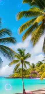 Tropical beach with palm trees and turquoise waters.