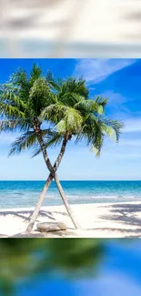 Tropical beach with palm trees and clear blue sky wallpaper.