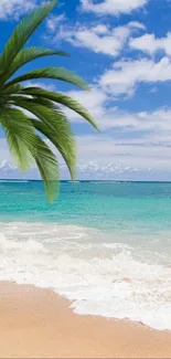 Tropical beach with palm tree, ocean, and blue sky.