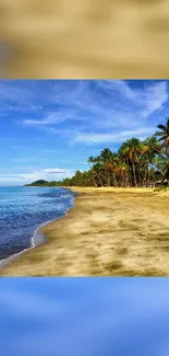 Tropical beach wallpaper featuring blue skies and palm trees, perfect for your phone.