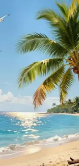 Tropical beach with palm tree and ocean waves.