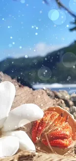 Tropical beach with flower and shell against blue sky.