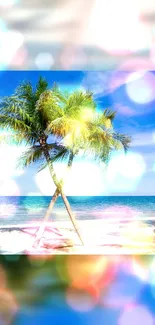 Tropical beach with palm trees under a clear blue sky with bright bokeh effect.