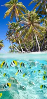 Tropical island with palm trees and colorful fish in clear blue water.