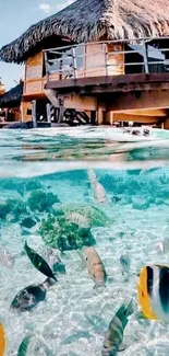 Vibrant tropical fish swim in clear waters near a thatched beach hut.