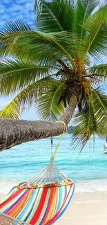 Tropical beach with palm tree and hammock by the ocean.