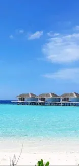 Tropical beach with blue sky and overwater bungalows.