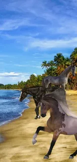 A horse gallops on a tropical beach with palm trees and blue sky.