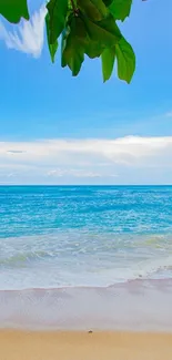 Beautiful tropical beach with lush green leaves, ocean, and sky.