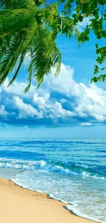 Tropical beach with palm trees, blue ocean, and sandy shore.