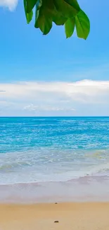 Tropical beach with blue sky and clear ocean, perfect for mobile wallpaper.