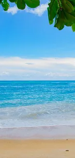 A serene tropical beach with blue ocean waves and lush green leaves above.