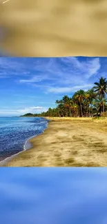 A tropical beach with palm trees and blue ocean under a sunny sky.