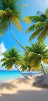 Tropical beach wallpaper with palm trees and blue sky.