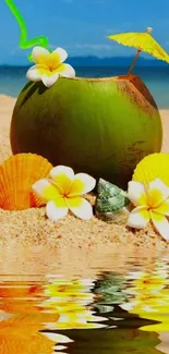 Tropical beach with coconut drink and seashells reflecting on sand.