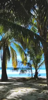 Tropical beach scene with palms and ocean view.