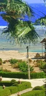 Palm trees and ocean view on a tropical beach wallpaper.
