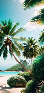 Vibrant beach scene with tall palms and turquoise ocean under sunny skies.