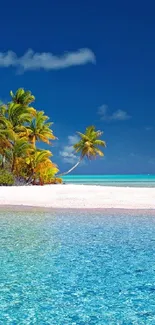 Tropical beach with blue waters and palm trees under a clear sky.