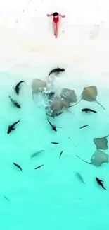 Aerial view of a tropical beach with stingrays and turquoise water.