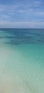 Tropical beach with clear aqua waters and a serene blue sky.