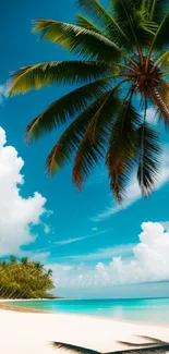 Tropical beach with palm trees and blue sky mobile wallpaper.