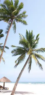 Tropical beach scene with palm trees under a light blue sky.