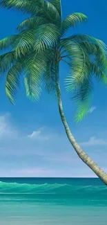 Tropical beach with palm tree, ocean, and blue sky.