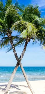 A serene tropical beach with palm trees under a bright blue sky and ocean backdrop.