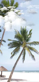 Tropical beach with palm trees under a bright blue sky on a sunny day.