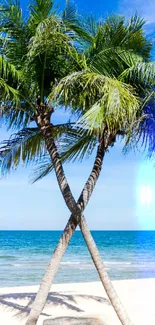 Tropical beach with palm trees under a clear blue sky and ocean view.