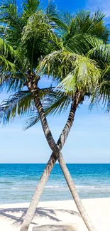 Two palm trees on a tropical beach with a vibrant blue sky.